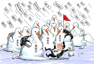 达尔文事变封面